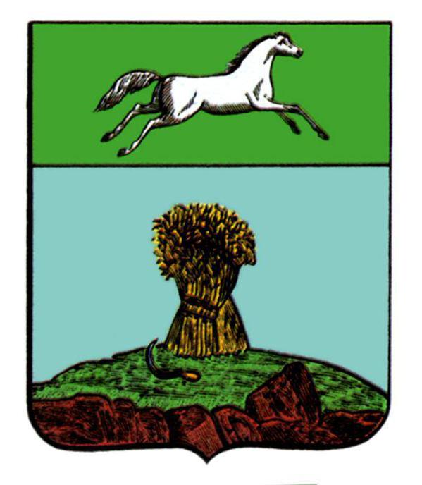 ノボシビルスク地域の紋章。説明と記号